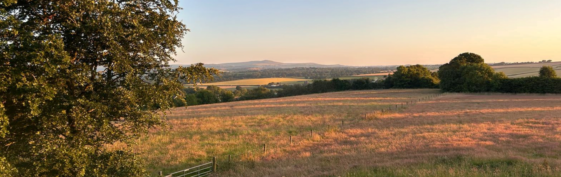 Image of the view from Thistledown Lodge