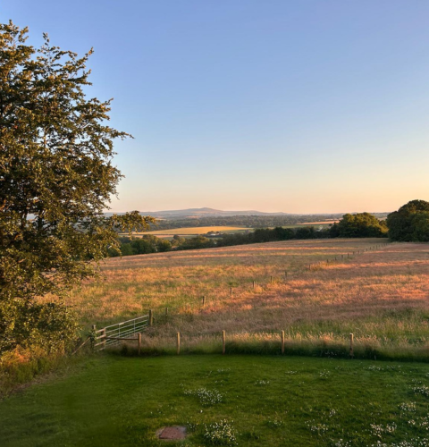Image of the view from Thistledown Lodge